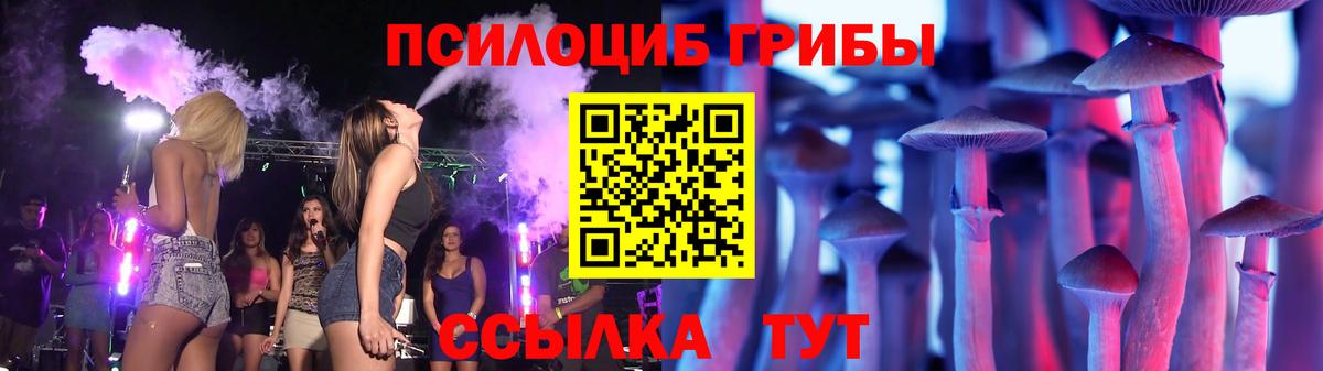 Галлюциногенные грибы Psilocybe Ртищево