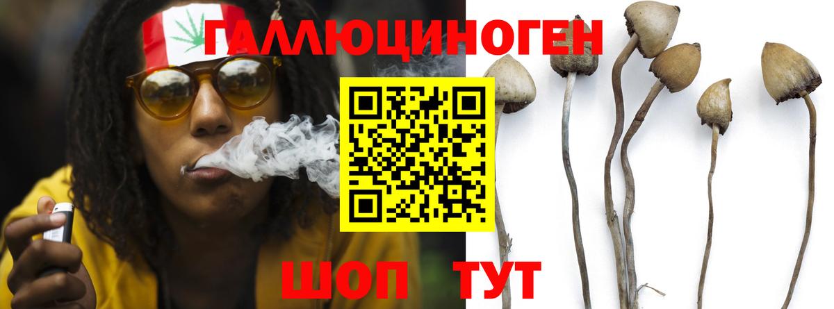 Галлюциногенные грибы мицелий  Вход с VPN  где можно купить наркотик  Ртищево 